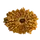 15 MUKHI RUDRAKSHA