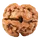2 MUKHI RUDRAKSHA