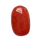 Red Coral